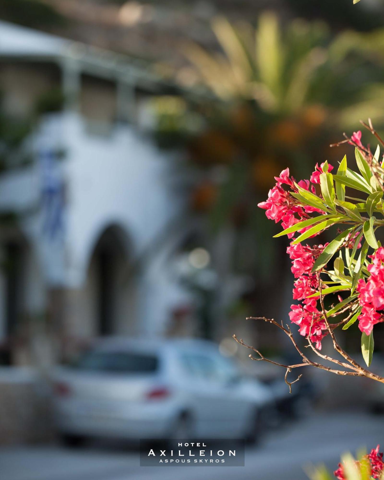 Achilleion Hotel Skyros Exterior photo